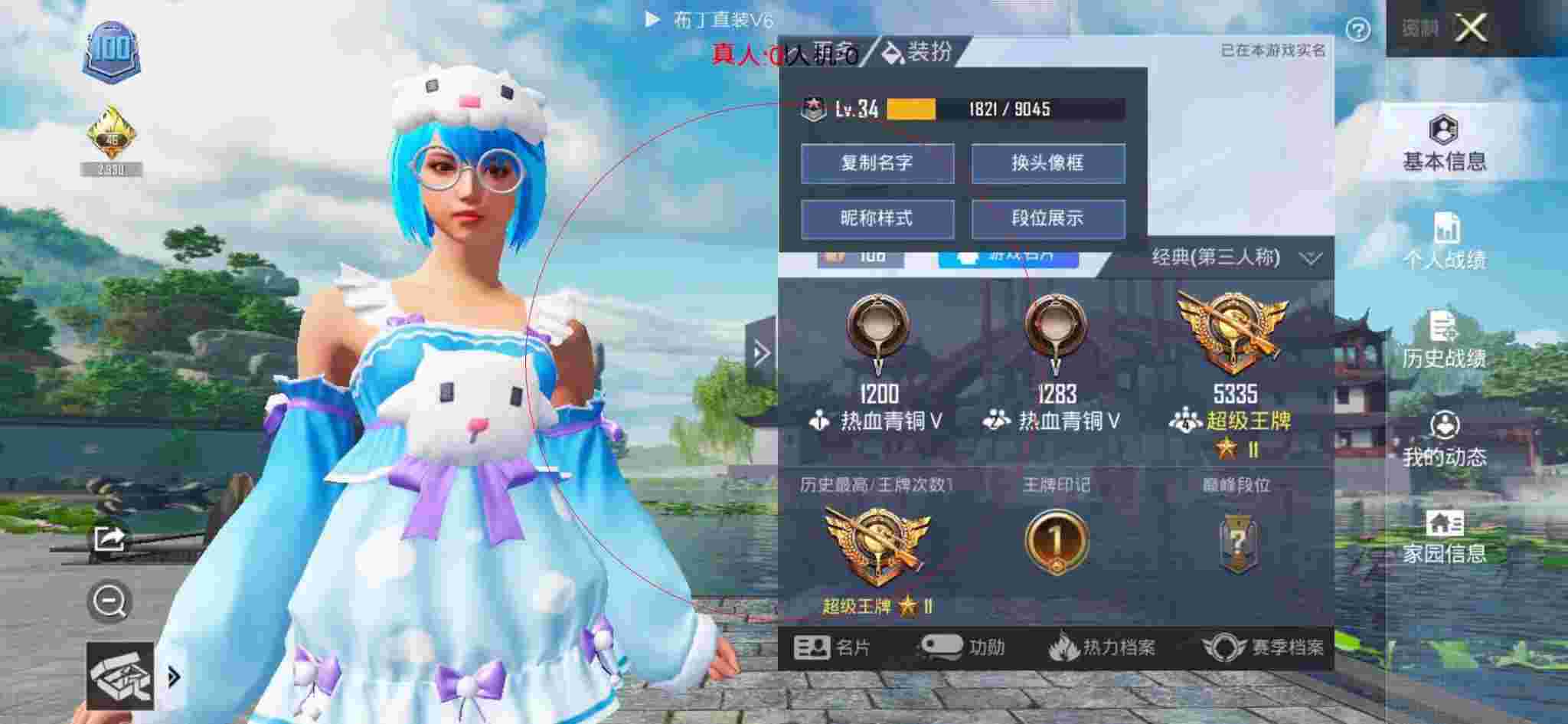 和平精英布丁直装透视 - 和平精英 发型辅助预览图